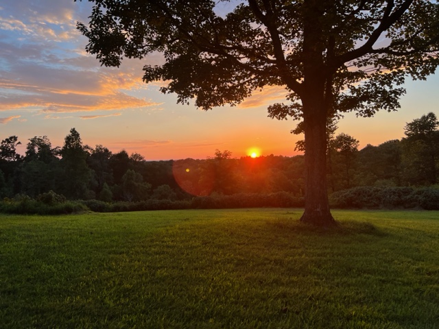 Sunset Holler Farms Tennessee